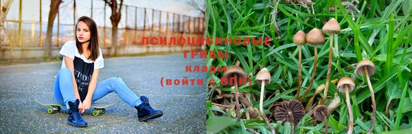 Альфа ПВП Беломорск