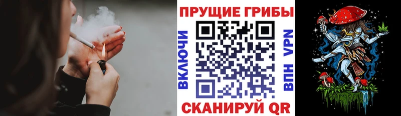 где можно купить наркотик  Шагонар  Галлюциногенные грибы мицелий 